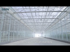 Γυάλινα εξαρτήματα μεταλλικού πλαισίου θερμοκηπίου