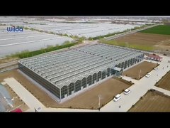 Θερμοκήπιο γυαλιού