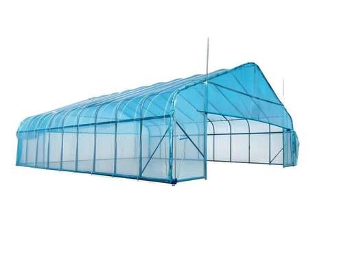 Factory Price Hot Galvanized Steel Frame Plastic Sheet Single Span Greenhouse Tunnel Greenhouse for Agricultural Vegetable