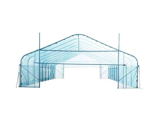 Factory Price Hot Galvanized Steel Frame Plastic Sheet Single Span Greenhouse Tunnel Greenhouse for Agricultural Vegetable